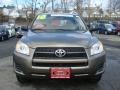 Pyrite Metallic - RAV4 I4 4WD Photo No. 2