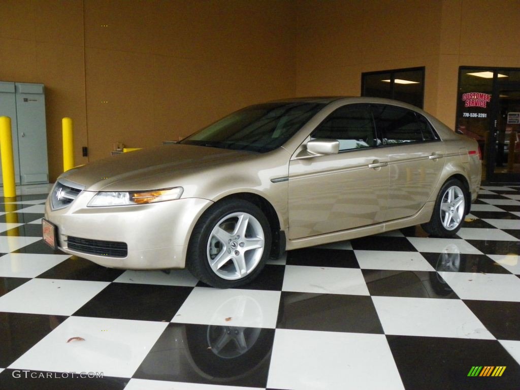 Desert Mist Metallic 2005 Acura TL 3.2 Exterior Photo #78398624