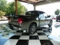 Desert Stone - Titan LE Crew Cab Photo No. 6
