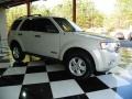 2009 White Suede Ford Escape XLT V6  photo #1