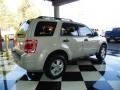 2009 White Suede Ford Escape XLT V6  photo #6