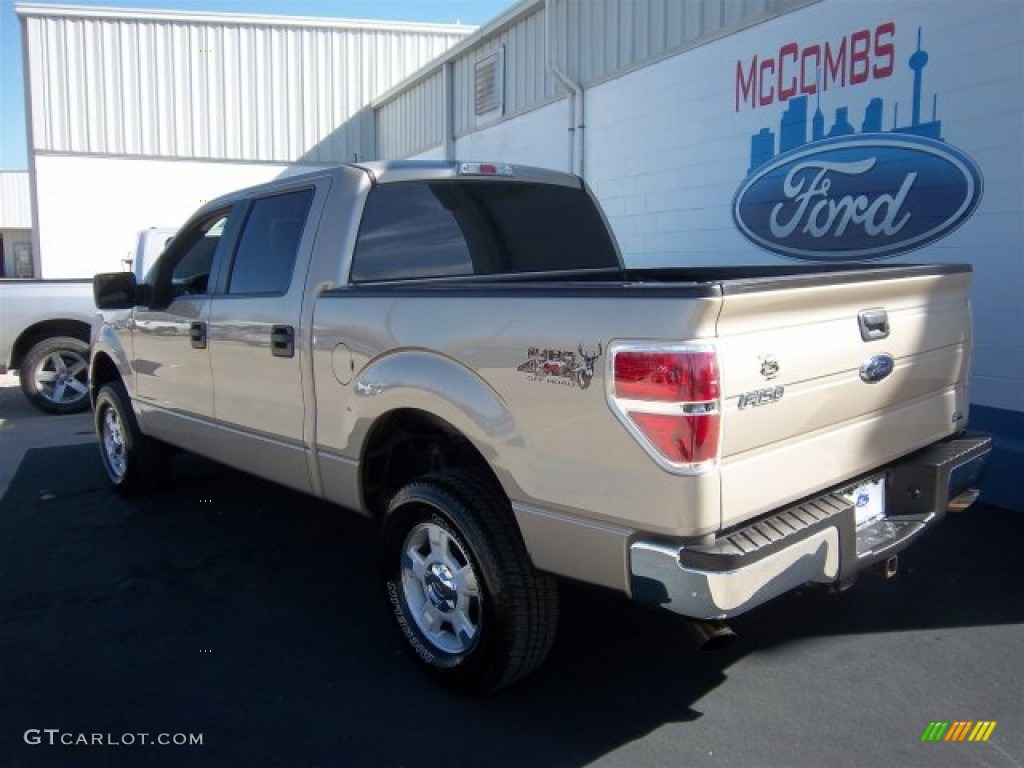 2010 F150 XLT SuperCrew 4x4 - Pueblo Gold Metallic / Tan photo #9