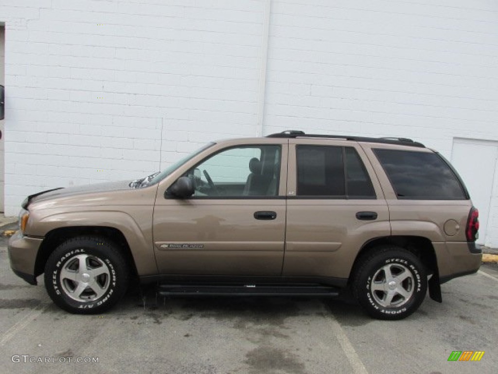 2003 TrailBlazer LS 4x4 - Sandalwood Metallic / Medium Oak photo #2