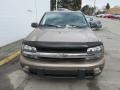 Sandalwood Metallic - TrailBlazer LS 4x4 Photo No. 4