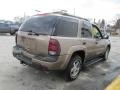 2003 Sandalwood Metallic Chevrolet TrailBlazer LS 4x4  photo #6