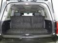 2008 Silver Indulgence Infiniti QX 56  photo #10