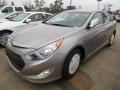 Hyper Silver Metallic - Sonata Hybrid Photo No. 2