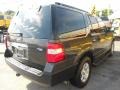 2007 Carbon Metallic Ford Expedition XLT  photo #7