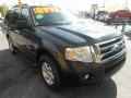 2007 Carbon Metallic Ford Expedition XLT  photo #9
