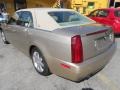 2006 Sand Storm Cadillac STS V6  photo #5