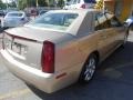 2006 Sand Storm Cadillac STS V6  photo #7