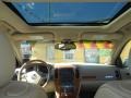 2006 Sand Storm Cadillac STS V6  photo #24