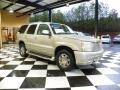 Quicksilver - Escalade AWD Photo No. 1