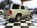 Quicksilver - Escalade AWD Photo No. 6