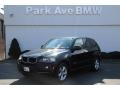 Jet Black 2010 BMW X5 xDrive30i