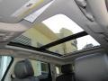 Crystal Red Tintcoat - SRX Performance Photo No. 32