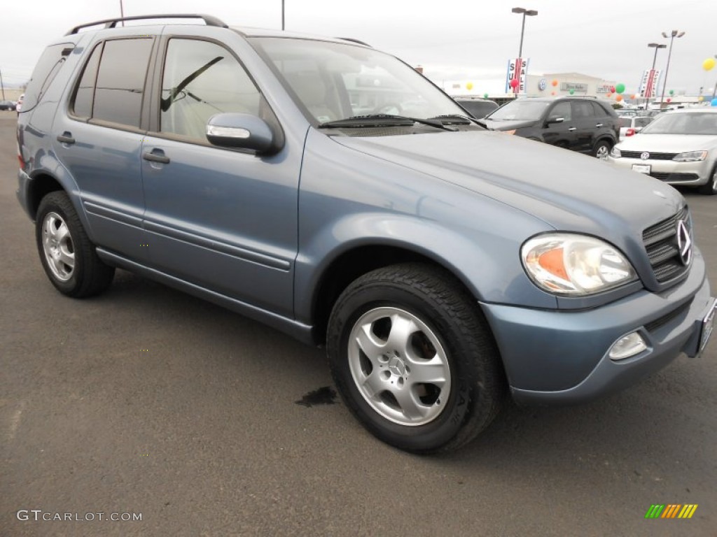 Platinum Blue Metallic 2004 Mercedes-Benz ML 350 4Matic Exterior Photo #78435815