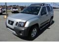 Silver Lightning 2011 Nissan Xterra S