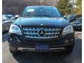 Black - ML 350 4Matic Photo No. 2