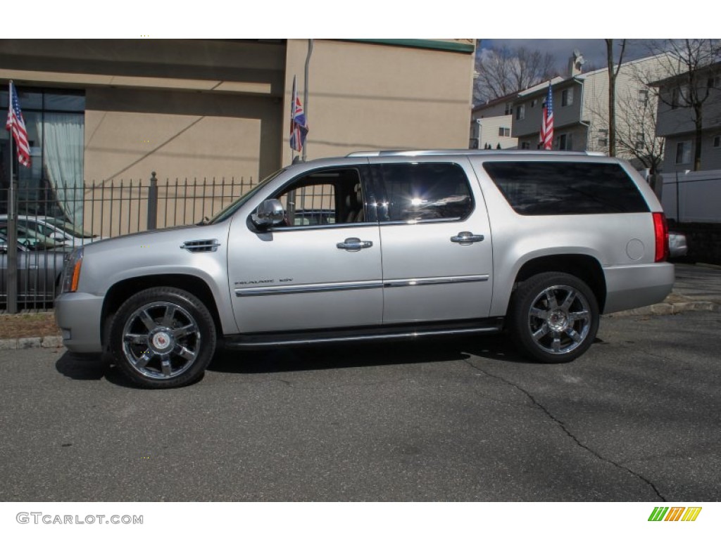 Silver Lining 2010 Cadillac Escalade ESV Luxury AWD Exterior Photo #78438773