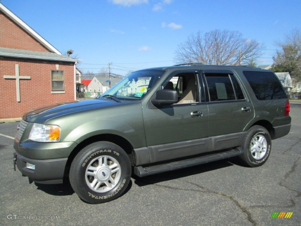 Estate Green Metallic 2004 Ford Expedition XLT 4x4 Exterior Photo #78447665