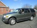 Estate Green Metallic 2004 Ford Expedition XLT 4x4 Exterior