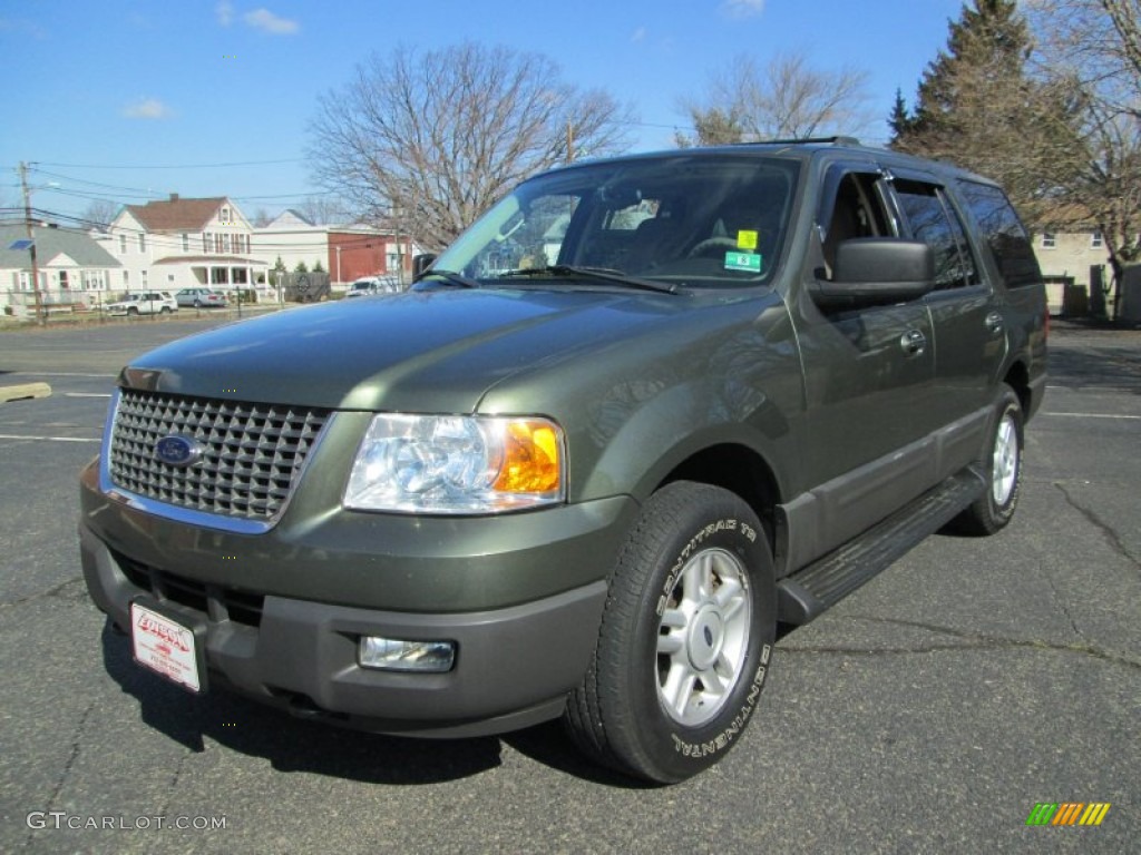 2004 Ford Expedition XLT 4x4 Exterior Photos