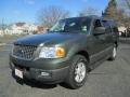 Estate Green Metallic 2004 Ford Expedition XLT 4x4 Exterior