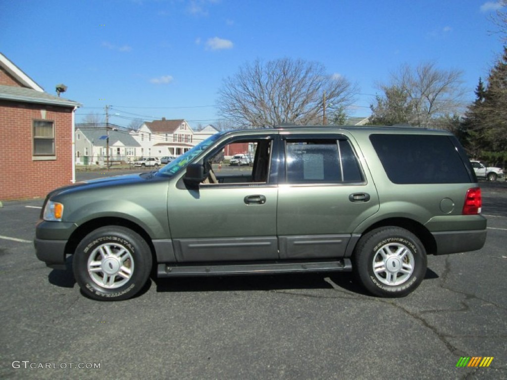 Estate Green Metallic 2004 Ford Expedition XLT 4x4 Exterior Photo #78447700
