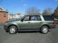 Estate Green Metallic 2004 Ford Expedition XLT 4x4 Exterior