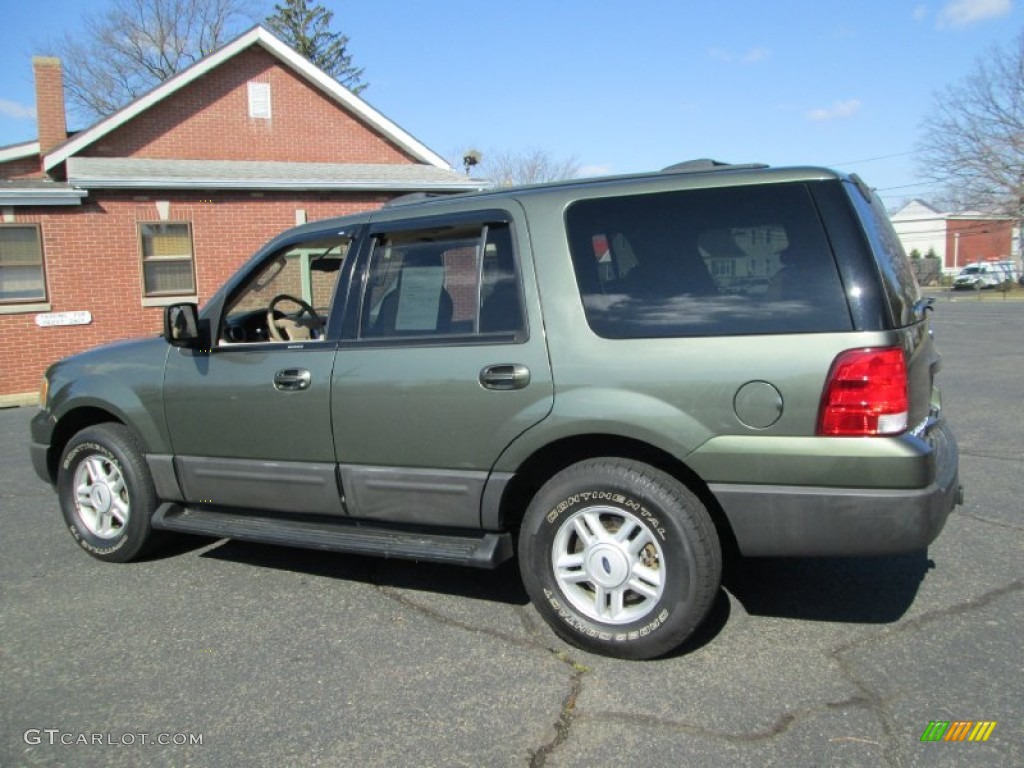Estate Green Metallic 2004 Ford Expedition XLT 4x4 Exterior Photo #78447717