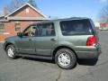 Estate Green Metallic 2004 Ford Expedition XLT 4x4 Exterior