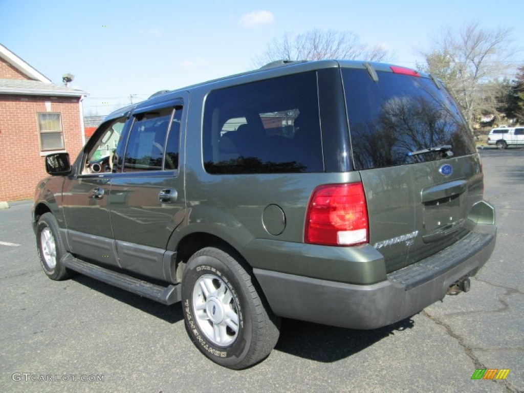 Estate Green Metallic 2004 Ford Expedition XLT 4x4 Exterior Photo #78447728