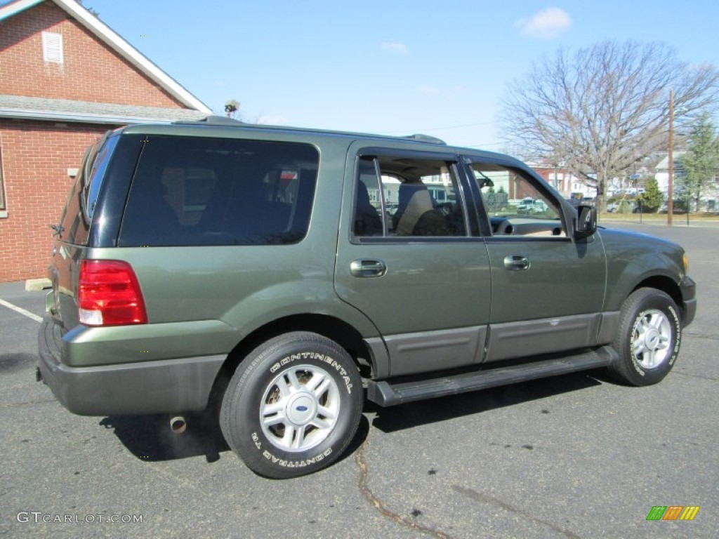 Estate Green Metallic 2004 Ford Expedition XLT 4x4 Exterior Photo #78447782