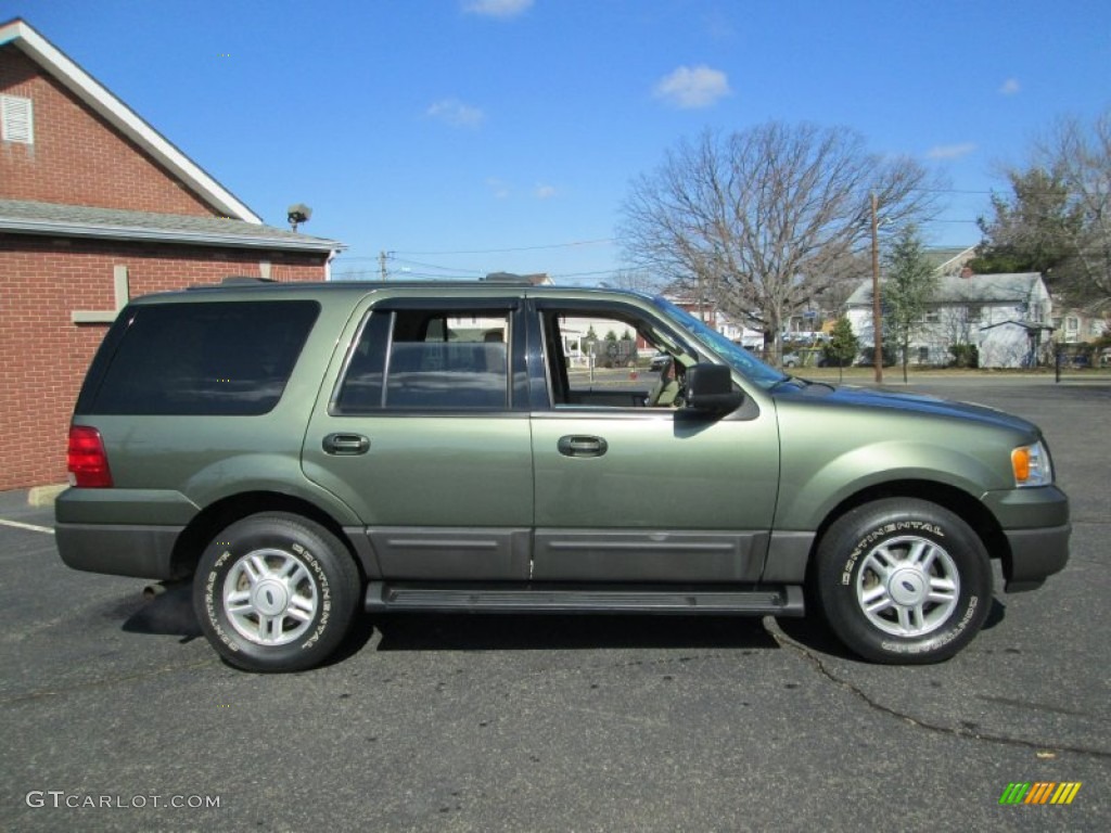 Estate Green Metallic 2004 Ford Expedition XLT 4x4 Exterior Photo #78447798