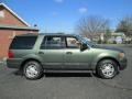 Estate Green Metallic 2004 Ford Expedition XLT 4x4 Exterior