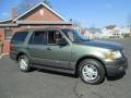 2004 Estate Green Metallic Ford Expedition XLT 4x4  photo #10