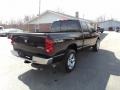 Brilliant Black Crystal Pearl - Ram 1500 Big Horn Edition Quad Cab 4x4 Photo No. 3