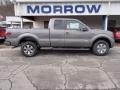 Sterling Gray Metallic 2013 Ford F150 FX4 SuperCab 4x4