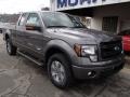 Sterling Gray Metallic 2013 Ford F150 FX4 SuperCab 4x4 Exterior