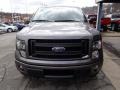 Sterling Gray Metallic - F150 FX4 SuperCab 4x4 Photo No. 3