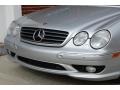 2001 Brilliant Silver Metallic Mercedes-Benz CL 600  photo #24