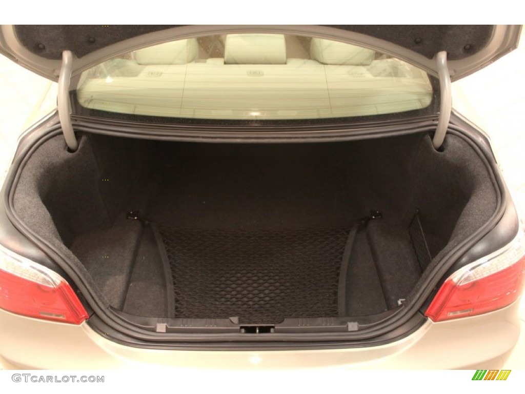 2009 BMW 5 Series 528xi Sedan Trunk Photo #78467029