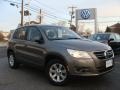 Alpine Grey Metallic 2010 Volkswagen Tiguan S 4Motion