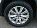 2010 Volkswagen Tiguan SE 4Motion Wheel and Tire Photo