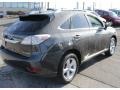 2010 Smokey Granite Mica Lexus RX 350 AWD  photo #6