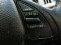 Platinum Graphite - G 37 x Sedan Photo No. 35