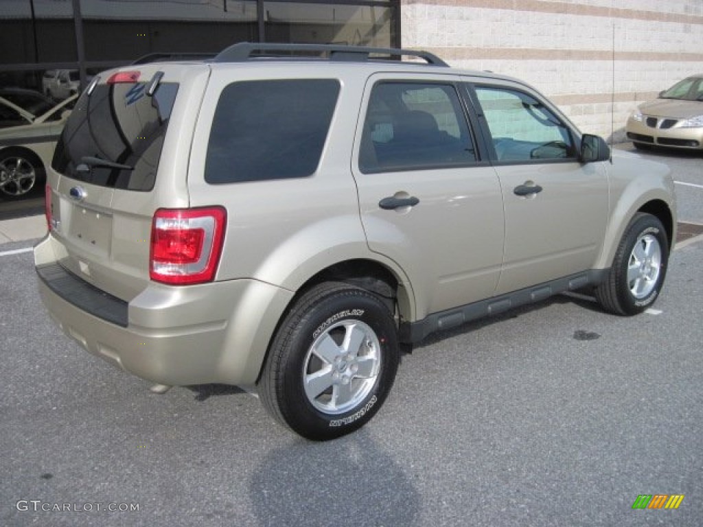 Gold Leaf Metallic 2011 Ford Escape XLT 4WD Exterior Photo #78481777