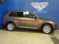 Sparkling Bronze Metallic - X5 xDrive35i Photo No. 7
