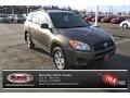 Pyrite Metallic - RAV4 I4 4WD Photo No. 1